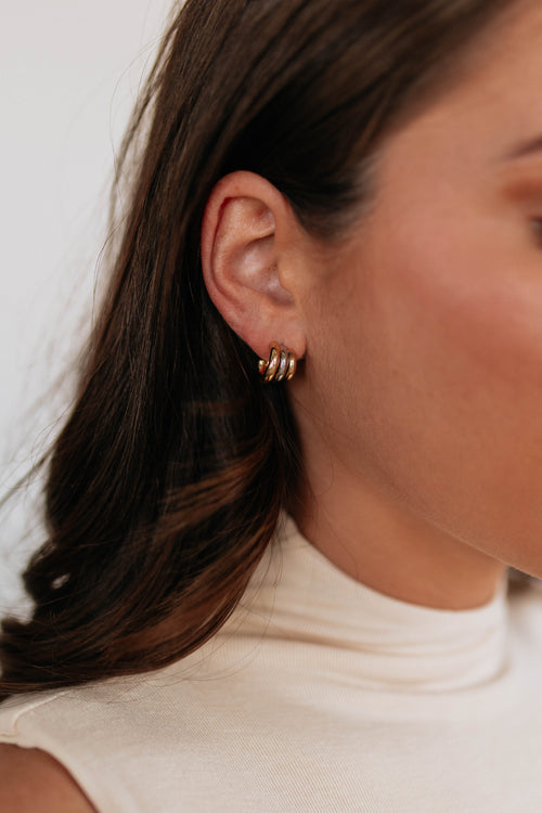 Aleenah Two-Tone Earrings
